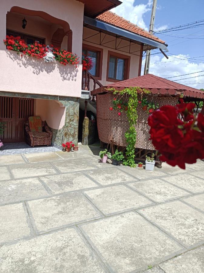 Pensiunea Ileana Novaci-Straini Exterior photo