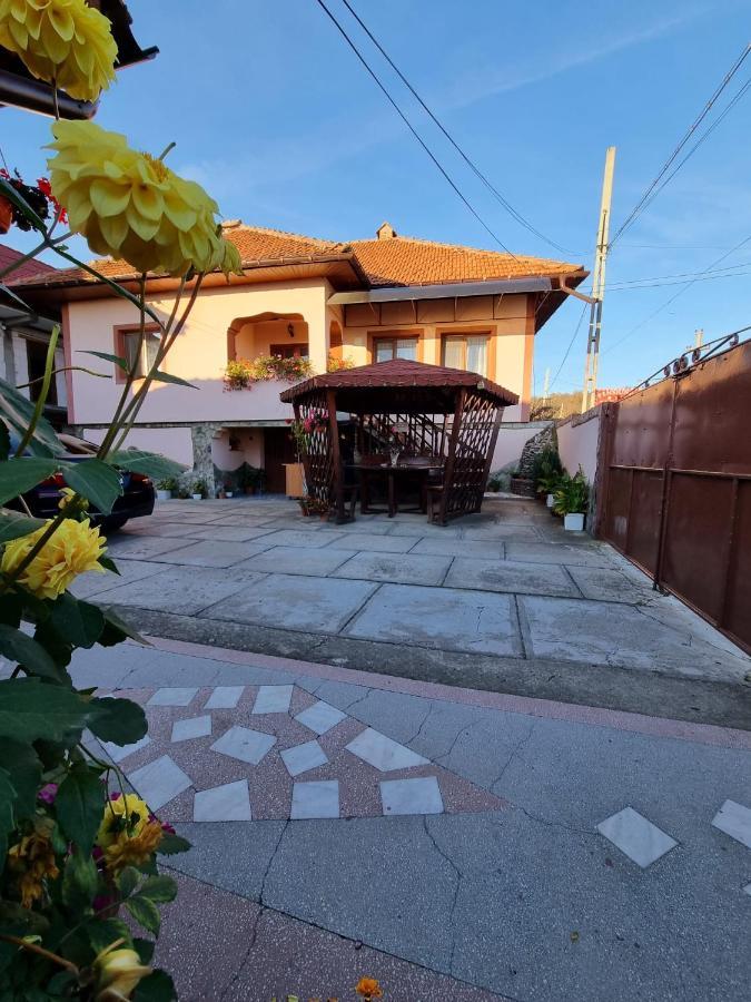 Pensiunea Ileana Novaci-Straini Exterior photo